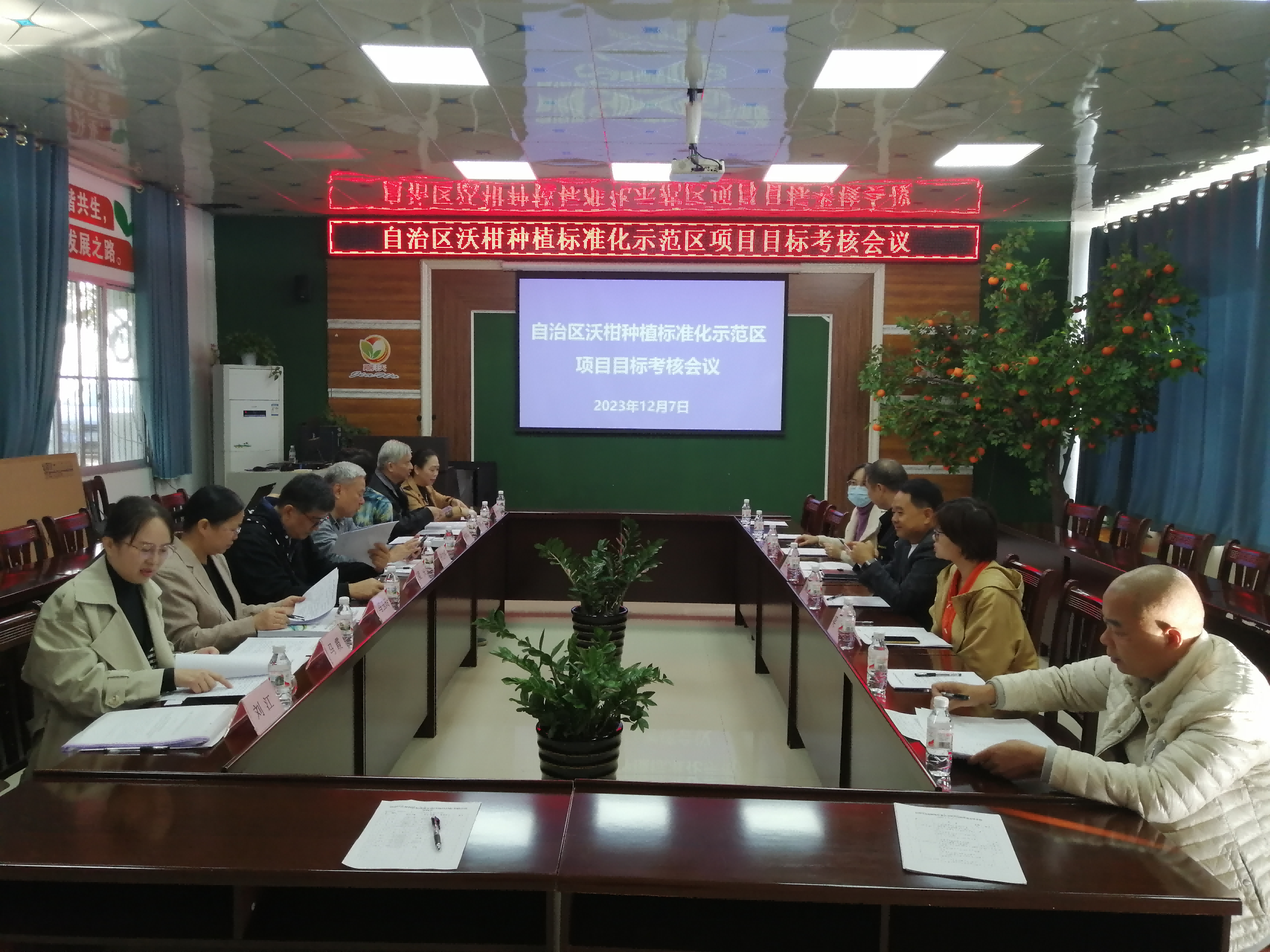 自治區(qū)沃柑種植標準化示范區(qū)高分通過專家組考核圖片2(1)(1).png 自治區(qū)沃柑種植標準化示范區(qū)高分通過專家組考核圖片2(1)(1).png